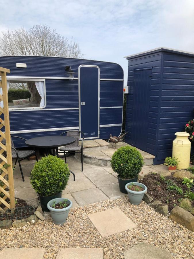 نيوتن أبوت Down The Garden Path Vintage Caravan B&B , Dartmoor المظهر الخارجي الصورة