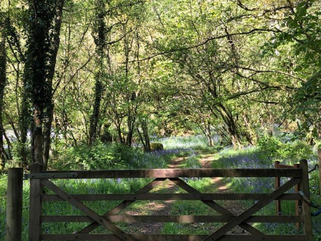 نيوتن أبوت Down The Garden Path Vintage Caravan B&B , Dartmoor المظهر الخارجي الصورة