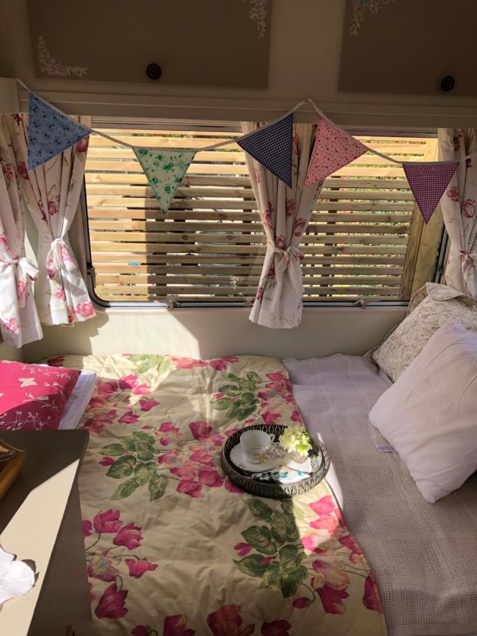 نيوتن أبوت Down The Garden Path Vintage Caravan B&B , Dartmoor المظهر الخارجي الصورة