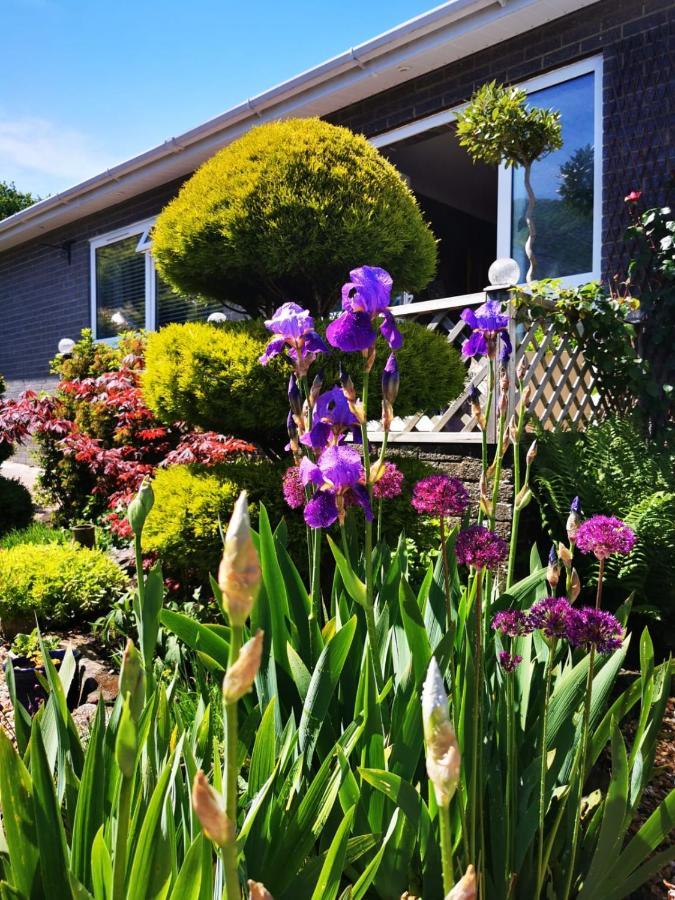 نيوتن أبوت Down The Garden Path Vintage Caravan B&B , Dartmoor المظهر الخارجي الصورة