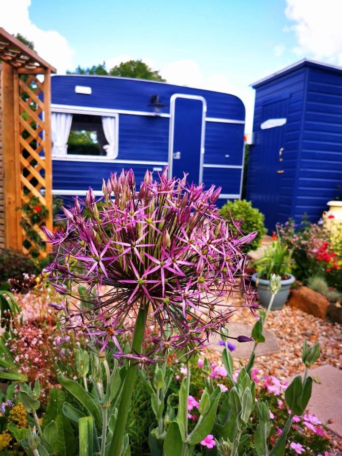 نيوتن أبوت Down The Garden Path Vintage Caravan B&B , Dartmoor المظهر الخارجي الصورة