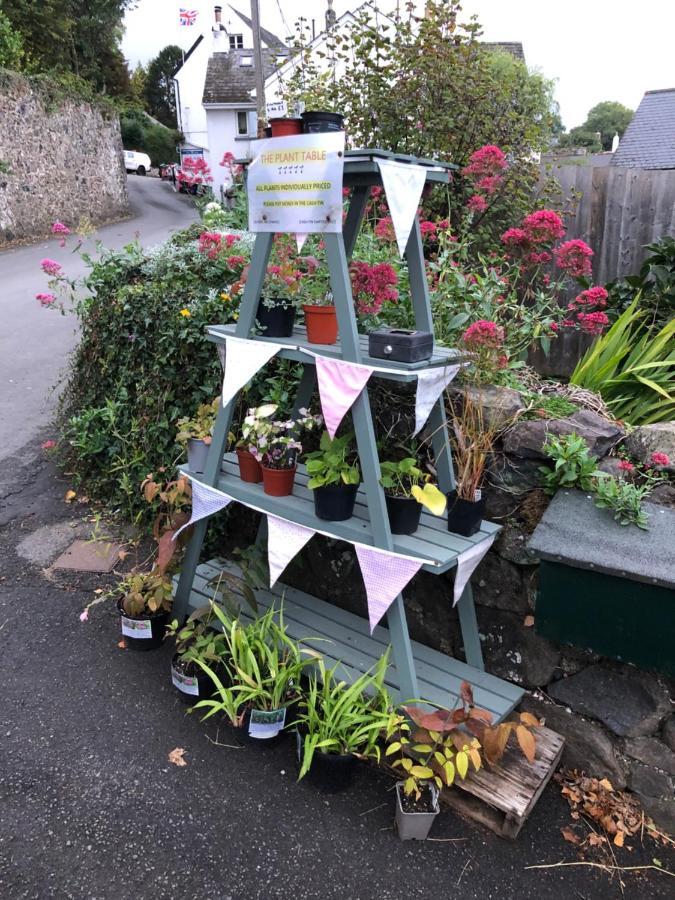نيوتن أبوت Down The Garden Path Vintage Caravan B&B , Dartmoor المظهر الخارجي الصورة