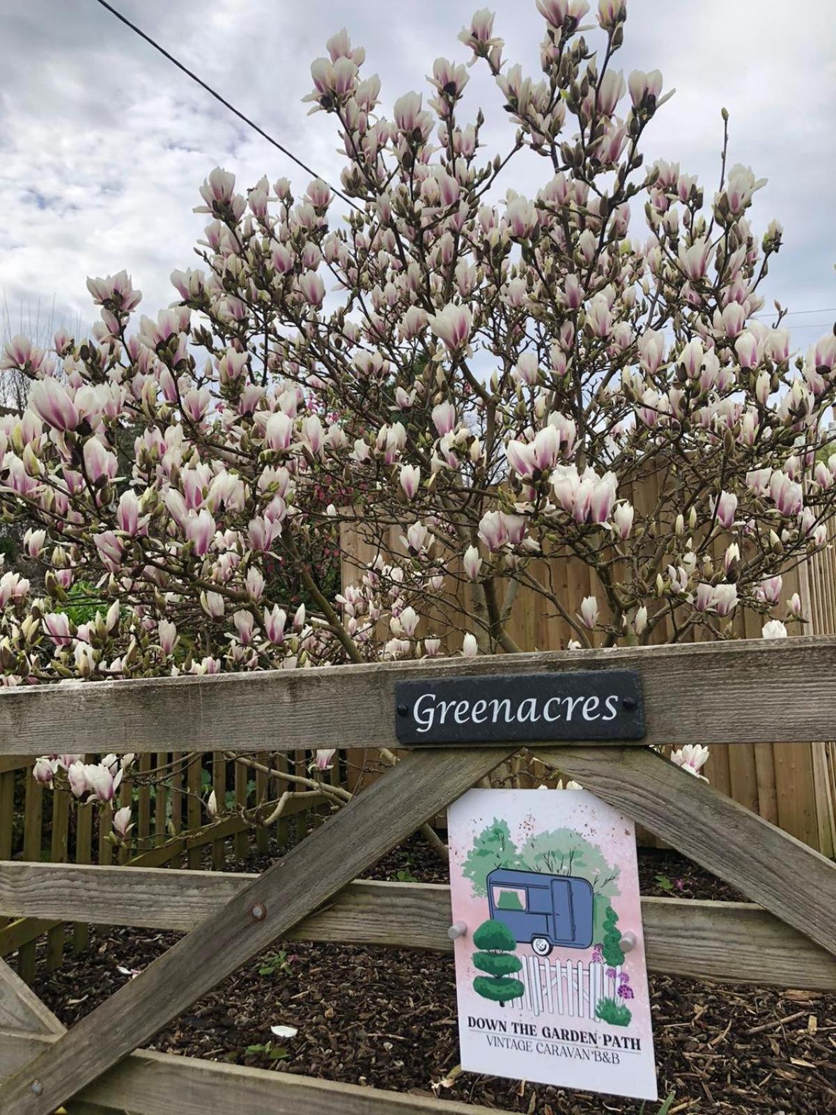 نيوتن أبوت Down The Garden Path Vintage Caravan B&B , Dartmoor المظهر الخارجي الصورة